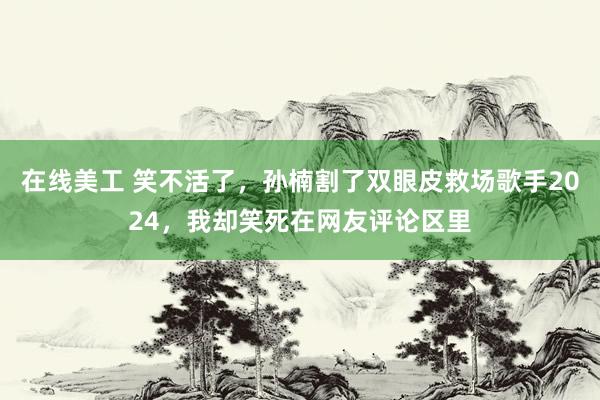 在线美工 笑不活了，孙楠割了双眼皮救场歌手2024，我却笑死在网友评论区里