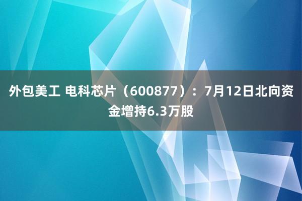 外包美工 电科芯片（600877）：7月12日北向资金增持6.3万股