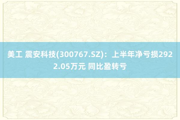 美工 震安科技(300767.SZ)：上半年净亏损2922.05万元 同比盈转亏