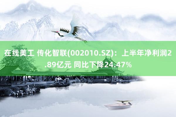 在线美工 传化智联(002010.SZ)：上半年净利润2.89亿元 同比下降24.47%