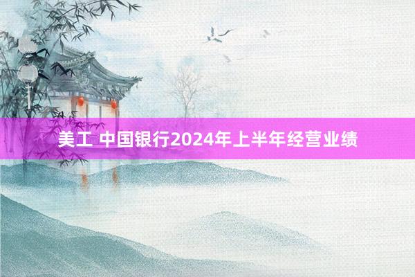 美工 中国银行2024年上半年经营业绩